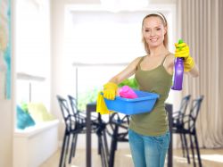 SE21 Domestic Cleaners SE24