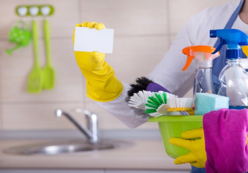 Professional-style deep cleaning setup for a home