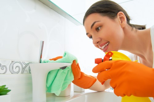 Cleaning supplies used for oven cleaning