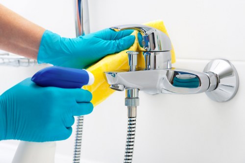 Residential and commercial window cleaning service examples