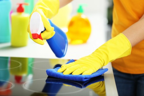 Professional workplace regular cleaning in an office environment