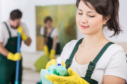 Cleaning supplies organized for a house cleaning routine