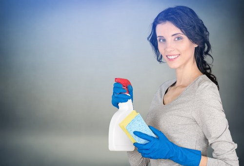 Deep one off cleaning in a modern kitchen with polished surfaces